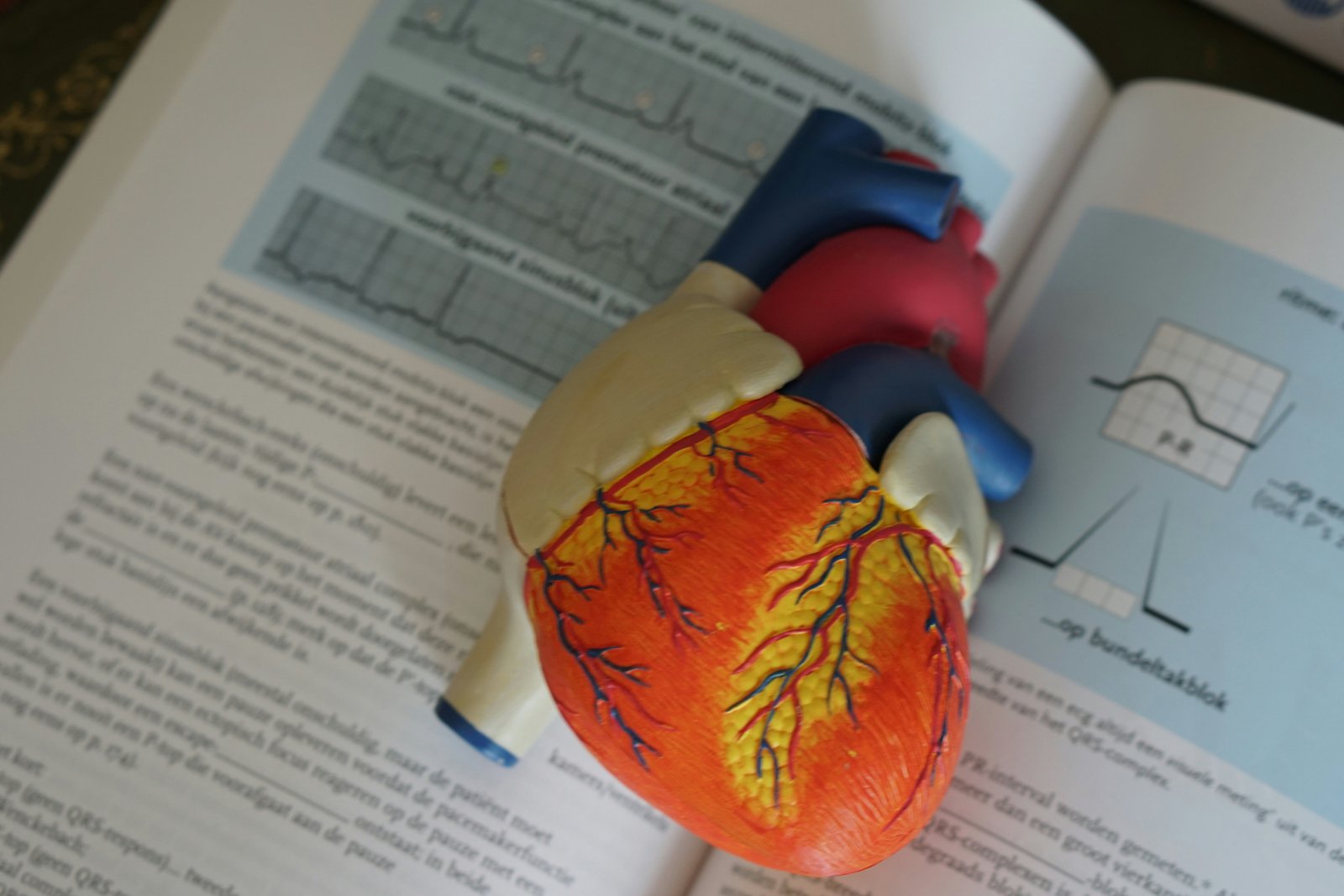 Microscopy and proficiency testing in a clinical laboratory
